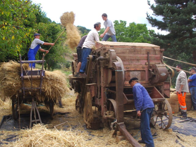 Retour sur la fête de la batteuse