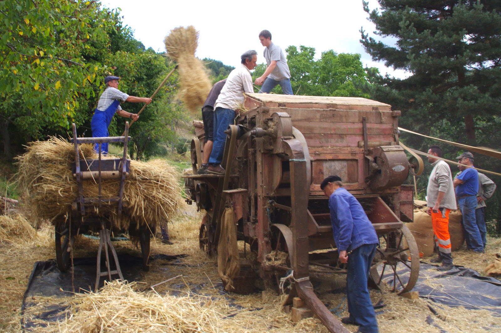 Retour Sur La F te De La Batteuse Maison De Retraite Saint Louis De retour-sur-la-f-te-de-la-batteuse-maison-de-retraite-saint-louis-de