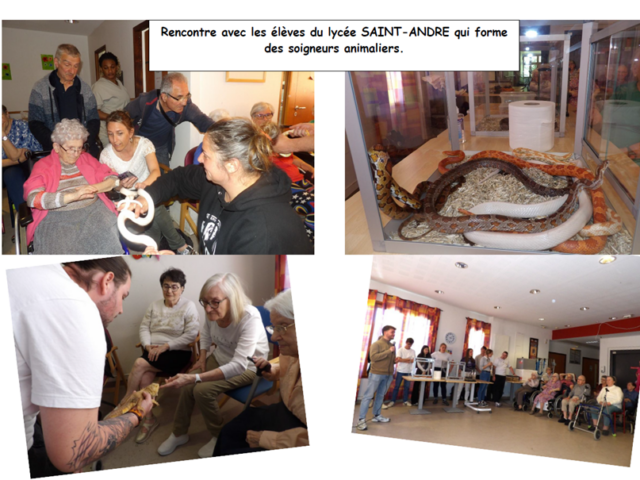 Rencontre avec le lycée Saint-André