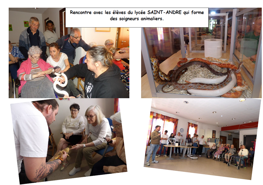 Rencontre avec le lycée Saint-André