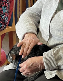 Journée zoothérapie !